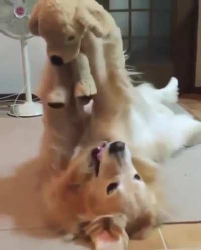 Adorable!