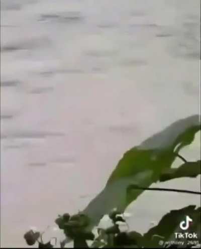 When the excavator River dance works too well