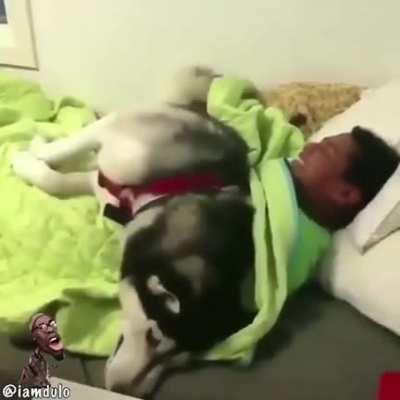 This voiceover