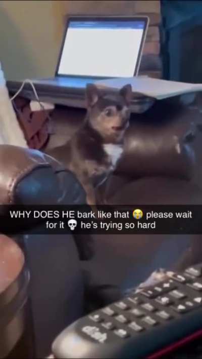 Me, mtf during voice training, every time I try to imitate the cis woman's voice I'm supposed to repeat.