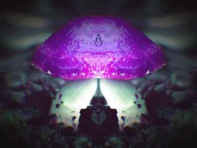 I made some psychedelic shrooms. Enjoy. [OC]