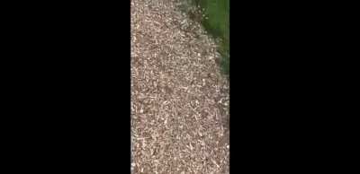 Woman threatening kids with knife while using racial slurs