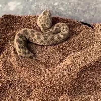 Nothing to see here