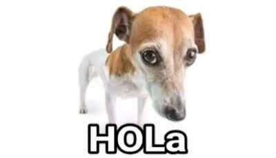 Buenos dias