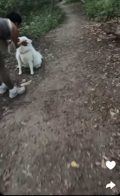 Doggie style