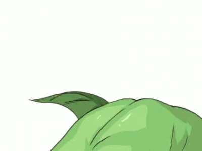 plant pussy