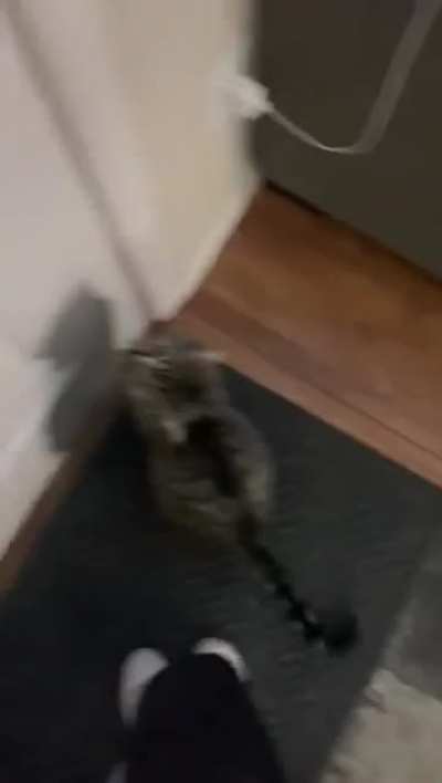 If Shart isn’t allowed to go outside, no one is.