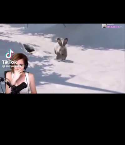 Streamer playing the last of us