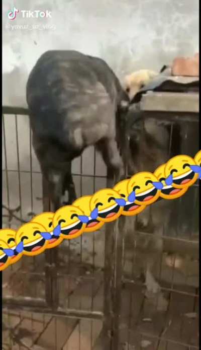 AAAAAAA