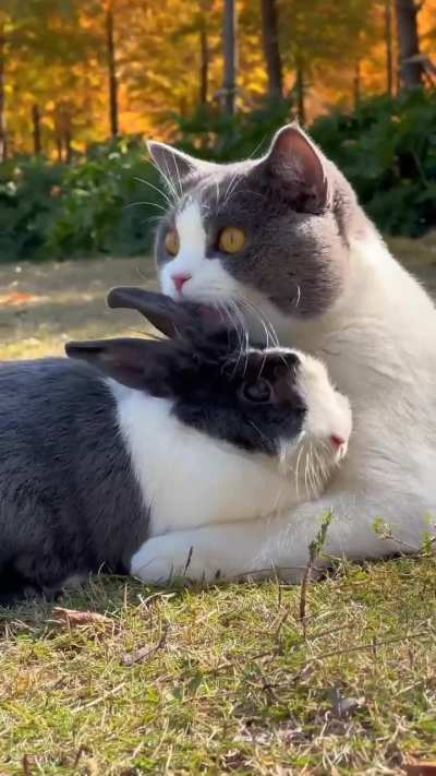 Best friends
