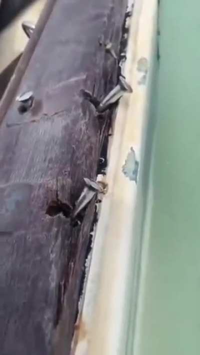 galera to com um problema aqui no barco