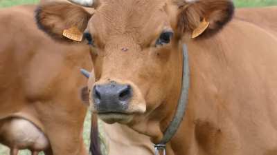 MoOooOOOO