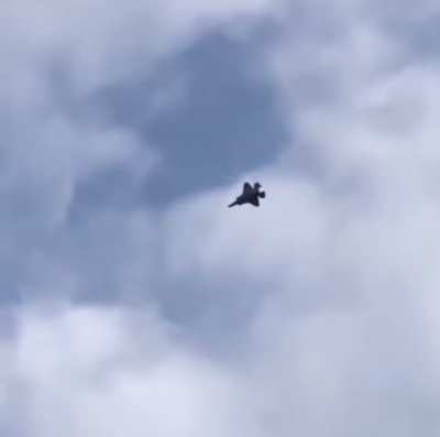 F-35 amazing pedal turn maneuver