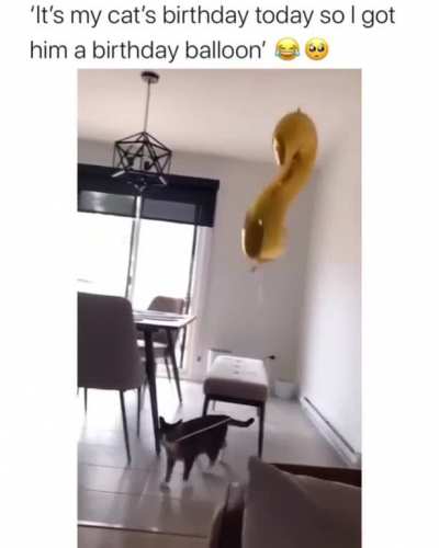 Awww...