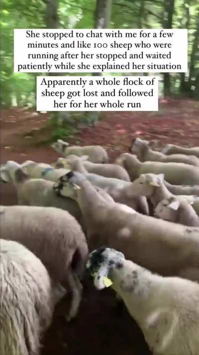 Mathilda, Inheritor of Sheep God's will