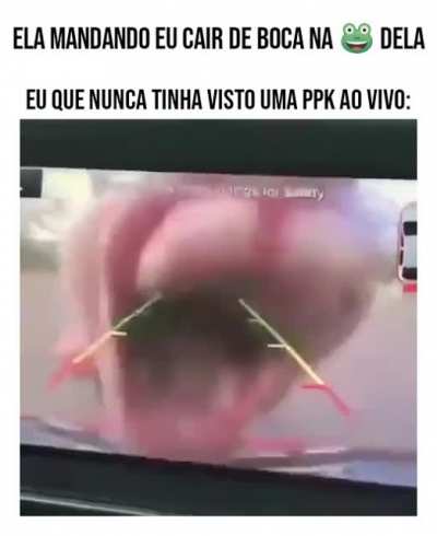Rei D'elas