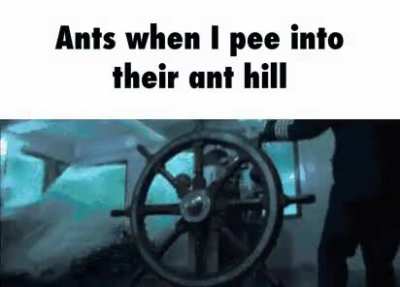 fire ants will be done for