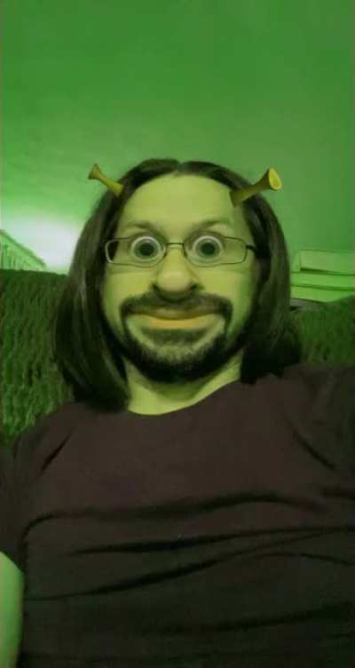 Horrifying Shrek filter