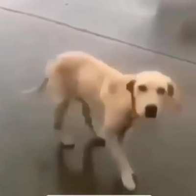 :D