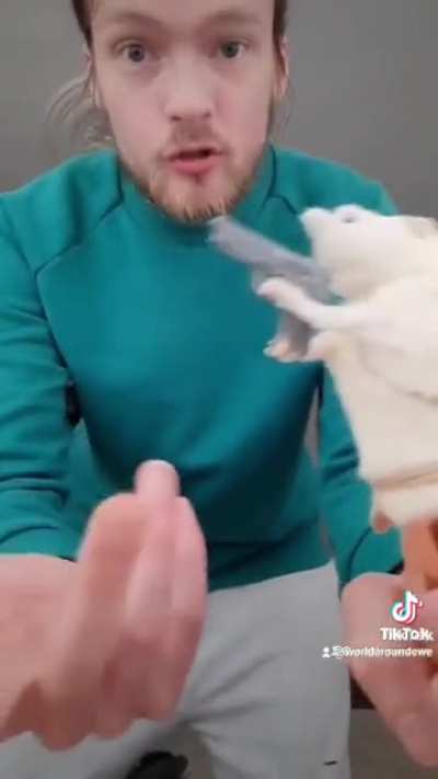 He is bringing a lot to the table!