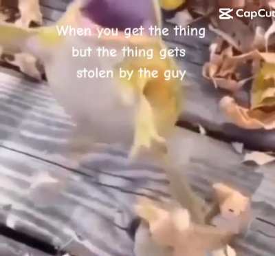 Title