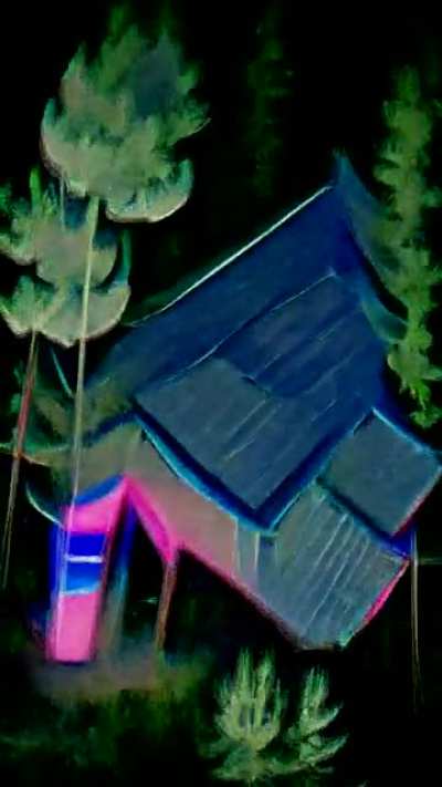 Forest House