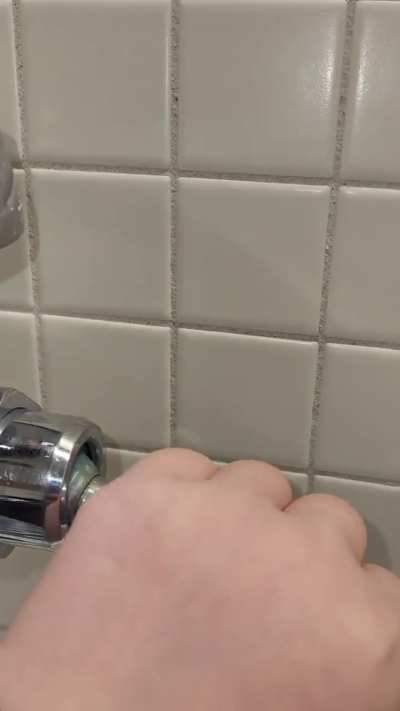 Wtf