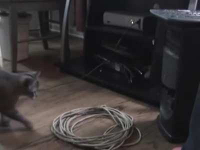 CAT vs COMPUTER