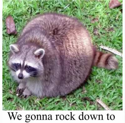 racon