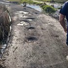 Idiot tries to intimidate goose
