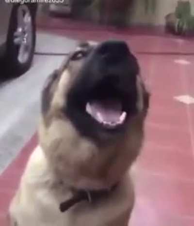 ㅤ
