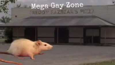 1234
