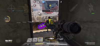 High IQ Campers