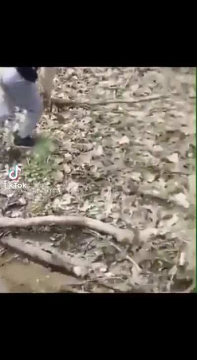 Leave the jumping to John