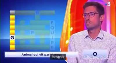This racist guy on french Tv