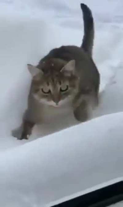 He is gone now