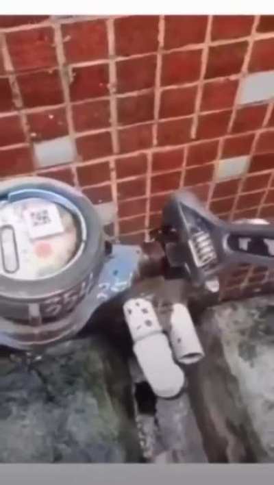 Call the Plumbtrician.