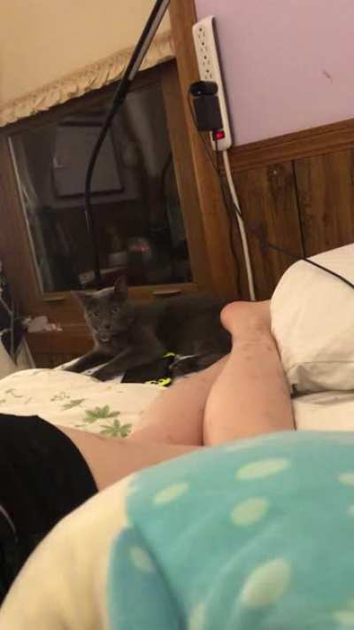 He bit me