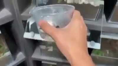 Pouring a cup of worms