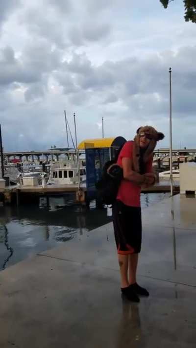 Florida man is a hybrid animal.