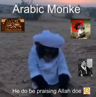 monke from far away land