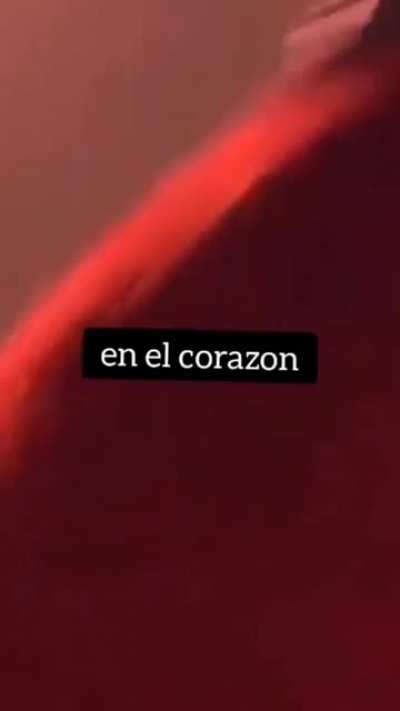 XD