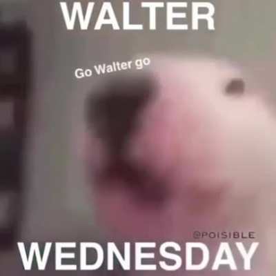 IT'S WALTER WEDNESDAY BABY!