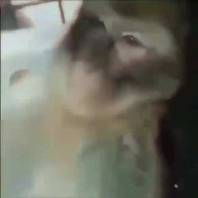:D