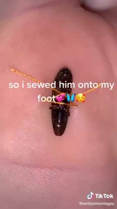 Entomology has some new studying techniques