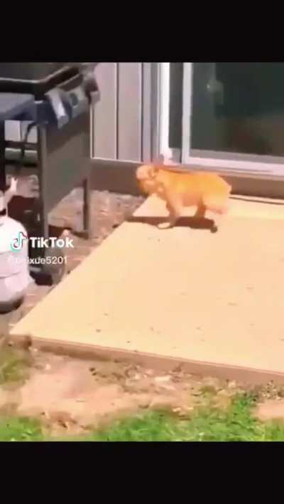 I am the courage