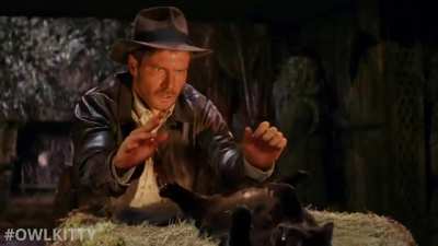 Indiana Jones and... WTF?