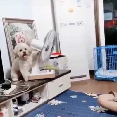 Играет музыка из 