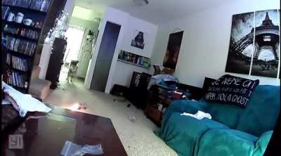 Dog punctures battery in a toy