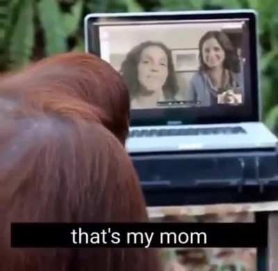 Monke conversion complete